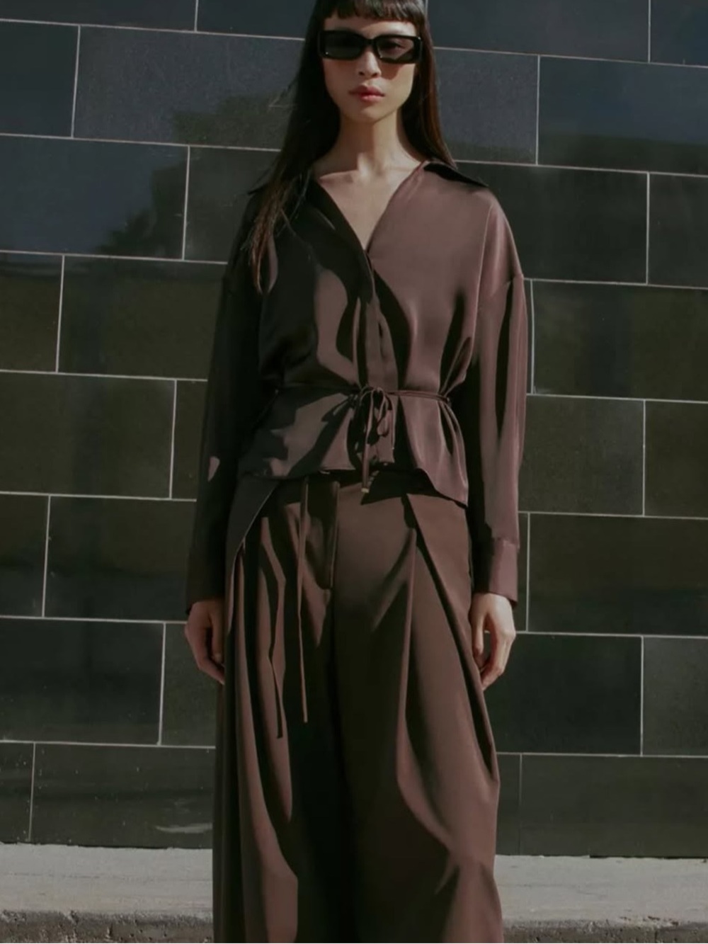 Zara Brown Button-Down Tie-Waist Top